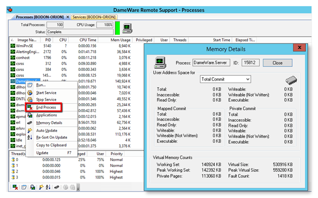 DameWare Remote Support